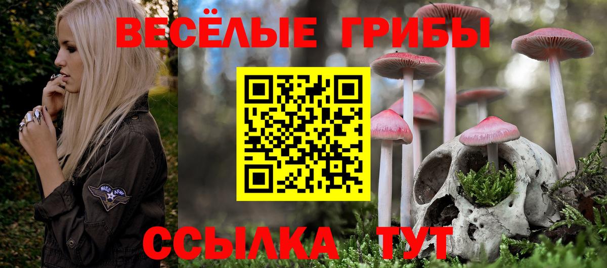 Галлюциногенные грибы Cubensis Ступино